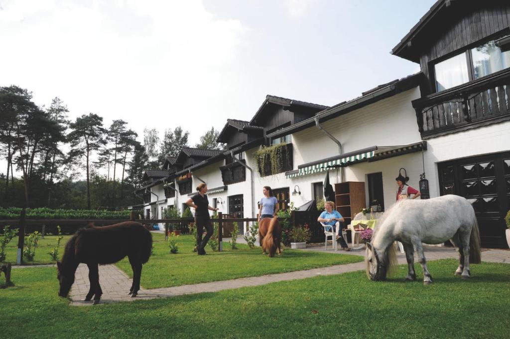 Landhotel Linden Am Venekotensee Niederkruechten Екстер'єр фото