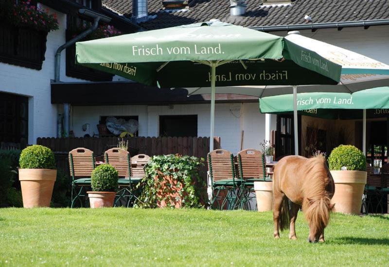 Landhotel Linden Am Venekotensee Niederkruechten Екстер'єр фото